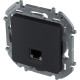 Inspiria - Роз RJ45 6 UTP АНТР | арт.673833