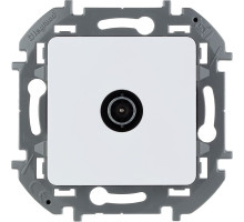 Роз TV звезда БЕЛ INSPIRIA | арт.673850
