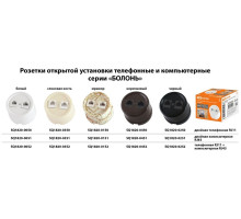 Розетка двойная компьютерная RJ45 белая «Болонь» TDM