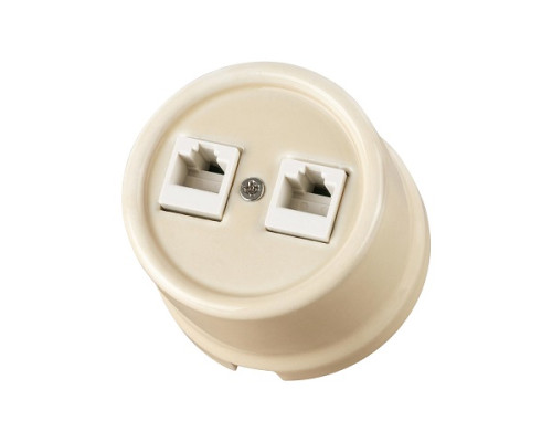 Розетка двойная компьютерная RJ45 сл. кость «Болонь» TDM