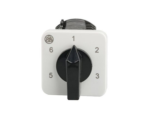 Переключатель BS 16 89 U, 2P, 20A, тип 1-2-3-4-5-6, 2NO на 1_6, на дверь, фронт IP40 | арт.EAC609591
