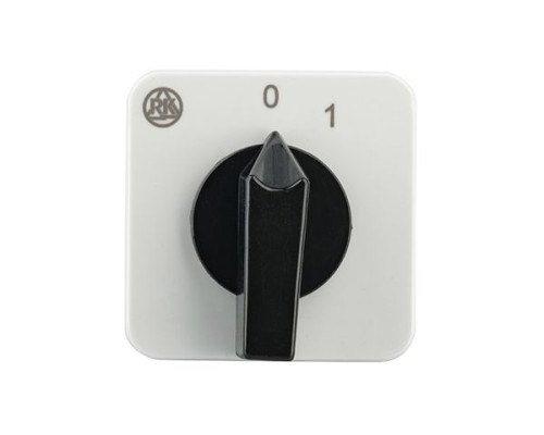 Переключатель BS 16 02 U, 2P, 20A, тип 0←1, 2NO на 1, на дверь, фронт IP40 | арт.EAC610582