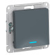 Выключатель 1-клавишный с подсветкой Schneider Electric AtlasDesign ATN000713 Грифель - ATN000713