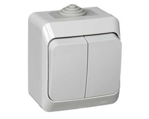 Выключатель, открытая установка 2-клавишный Schneider Electric Этюд BA10-042C Серый - BA10-042C